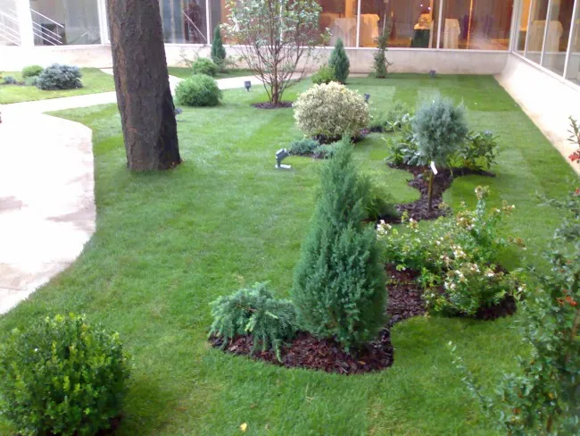 Gradina mica, amenajare cu plante si gazon pentru curtea interioara a unui hotel din Bucuresti.