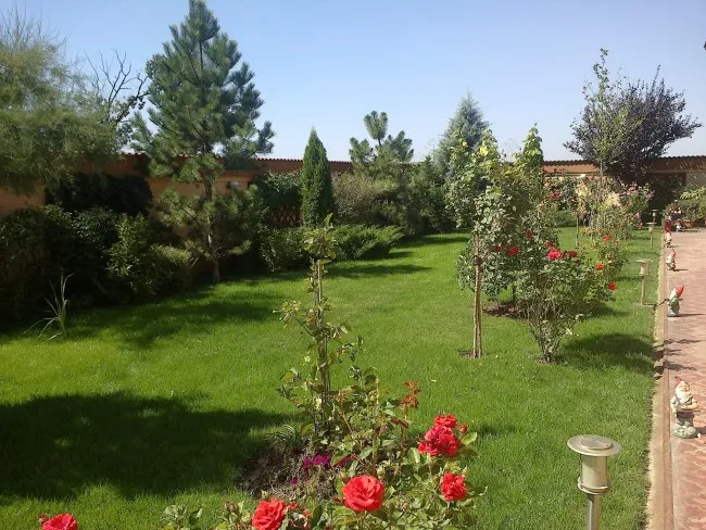 Amenajare peisagistica gradina Bucuresti cu plante decorative de gradina, rezistente la intemperii