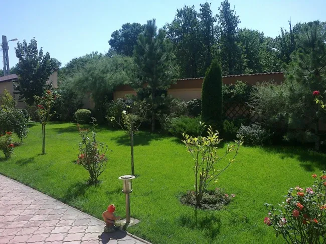 Amenajare parc in Bucuresti. Gradina a fost amenajata cu grupuri de plante ornamentale preponderent autohtone