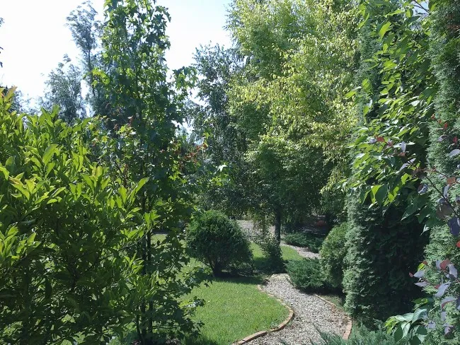 Amenajarea peisagistica a unei gradini medii cu plante ornamentale de gradina, alei, elemente decorative si gazon.