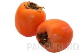 Poza  Pomi fructiferi exotici, Kaki (curmal japonez) (Diospyros virginiana).