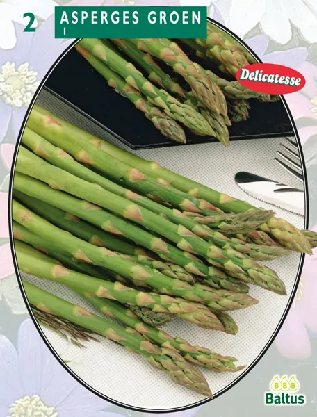 Poza Stoloni de Sparanghel (asparagus) pentru plantare in gradina