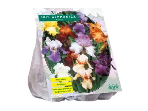 Bulbi flori de gradina Iris germanica Gemengd, 3 rizomi / pachet