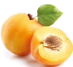 Pomi fructiferi Caisi soiul Cea mai buna de Ungaria Pomi puieti fructiferi altoiti, radacina ambalata