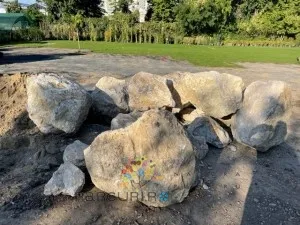 Bolovani colturosi din piatra naturala (roca de munte)