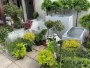 Ghivece si jardiniere modulare pentru plante