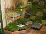 Magazin online de plante, flori, pamant de plantare, gazon, ingrasaminte, materiale si accesorii de gradina