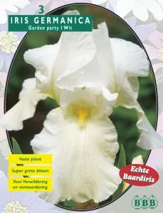 Bulbi flori primavara  Iris Germanica Wit, 3 rizom/ pachet