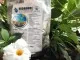 Hidrogel Gardenis pentru horticultura, 250 de grame - absoarbe, retine si elibereaza apa